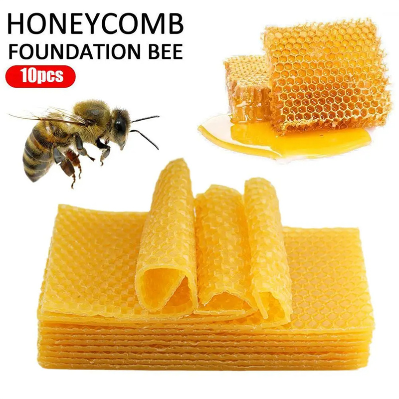 10Pcs Beekeeping Tools Beeswax – обзор и цена Candle Making Kit Beeswax